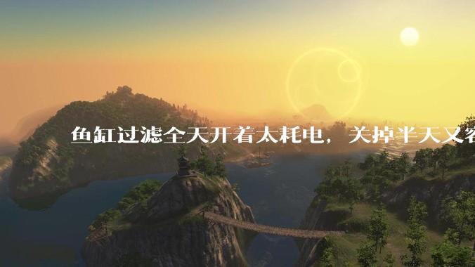 鱼缸过滤全天开着太耗电，关掉半天又容易水浑，有什么好办法？